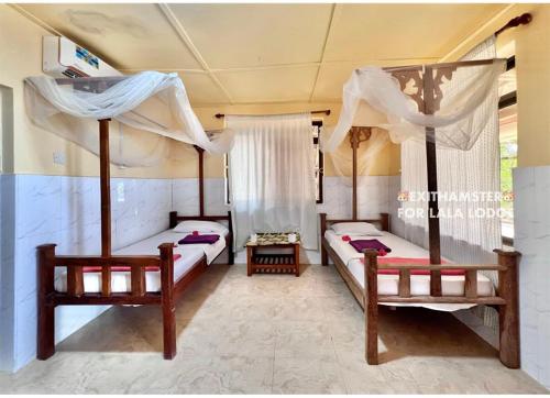 MginiLala lodge Pemba Zanzibar的一间卧室,配有两张床