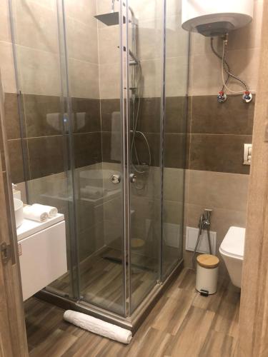 埃里温Karen's Dom & Terrace的浴室里设有玻璃门淋浴