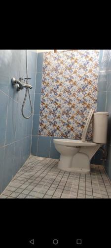 BonorejoZG Home Solo的浴室设有蓝色的浴室,浴室内设有卫生间。