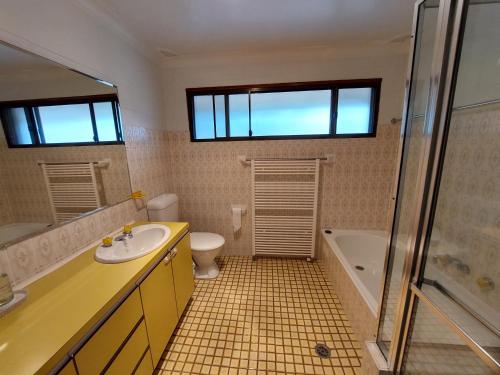 金德拜恩House Matterhon 3 Bedroom Apartment的一间带水槽、卫生间和淋浴的浴室