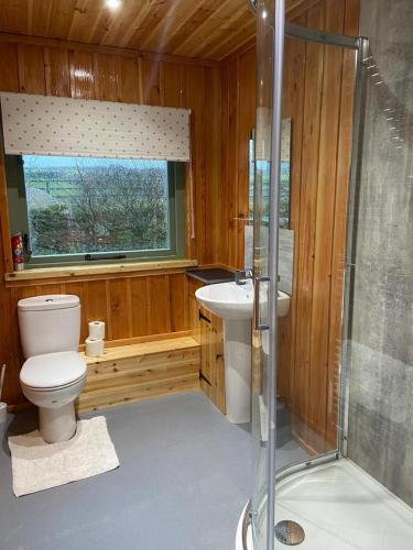 彭赞斯Rural Wood Cabin - less than 3 miles from St Ives的浴室配有卫生间、盥洗盆和淋浴。
