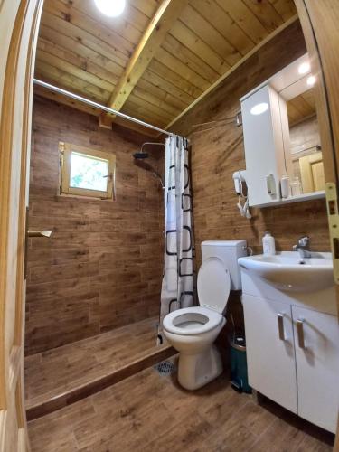 DobrilovinaVila Montana的一间带卫生间和水槽的浴室