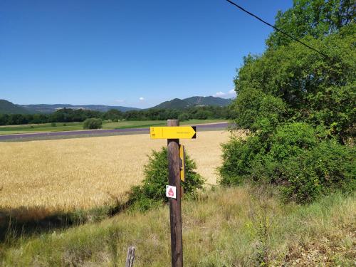 Chaffaut-Lagremuseles mésanges的田间中柱子上的黄色标志