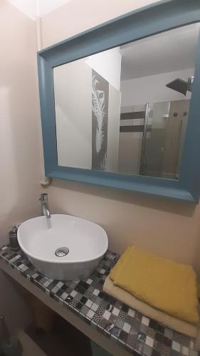 蒂黑Global Trip Apartament的一间带水槽和镜子的浴室