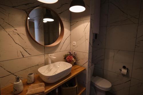 斯塔拉巴斯卡Kuća za odmor Baya的一间带水槽、镜子和卫生间的浴室