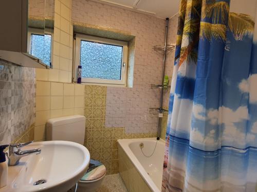 Vöhrenbach2 Bedroom Apartment with Terrace & Beautiful View的浴室配有盥洗盆、卫生间和浴缸。