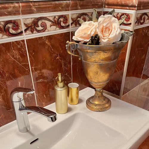 捷克克鲁姆洛夫贝尔坎托公寓的花瓶里满是玫瑰,坐在水槽顶上