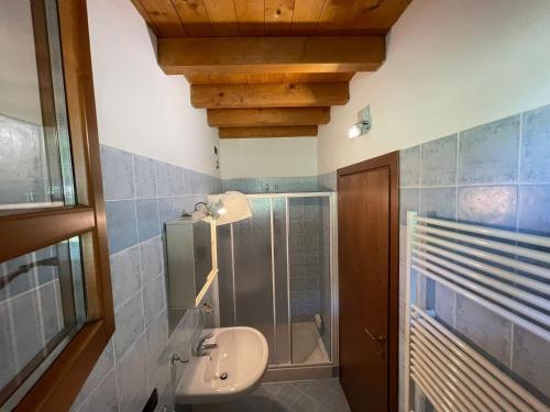 萨罗La FIOCCHINA - Magic Place - apartments & studios in Garda Lake - countryside farmhouse, inside the middle of the lake的一间带水槽和淋浴的浴室