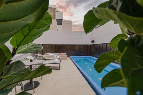 巴兰基亚Hotel Sites Barranquilla的植物群落的建筑物屋顶上的游泳池