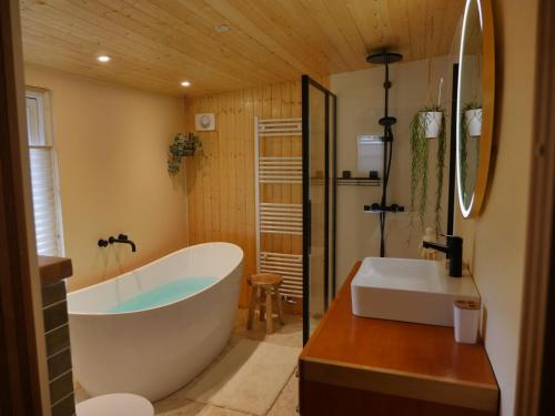 迪森The Sunbird Inn - with luxurious bathroom的一间带大浴缸和水槽的浴室