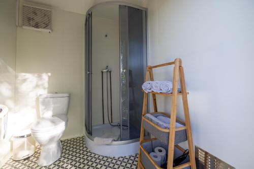 埃尔克海姆Baumhaus - Tiny Haus in der Höhe的带淋浴、卫生间和梯子的浴室