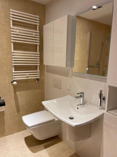 斯维诺乌伊希切Apartament Agata的一间带水槽、卫生间和镜子的浴室