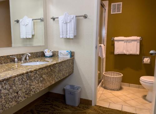 萨克拉门托总督酒店的一间浴室
