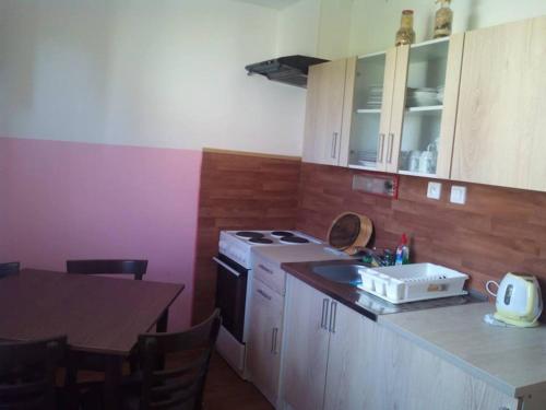 弗林布尔克Apartmány Mimpi的厨房配有炉灶、水槽和桌子