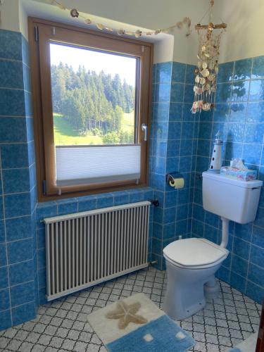 阿布特瑙Haus Sperleiten的蓝色瓷砖浴室设有卫生间和窗户