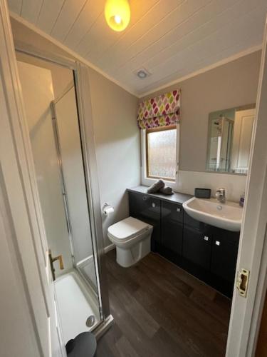 WartonLakeside 18的浴室配有卫生间、盥洗盆和淋浴。