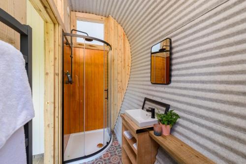 基拉尼Killarney Glamping at the Grove, Suites and Lodges的一间带水槽和镜子的浴室