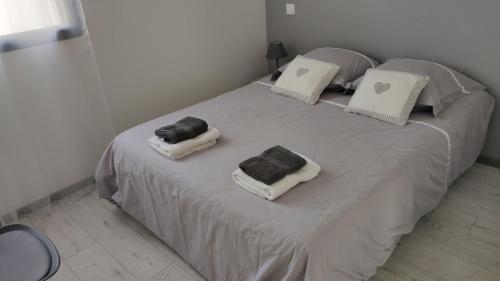 阿格德角Jolie petite maison à 50 mètres de la plage的房间里的床上有两个枕头
