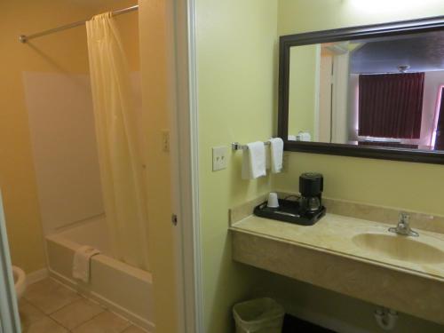 HempsteadAmericas Best Value Inn & Suites Hempstead的一间带水槽和淋浴的浴室