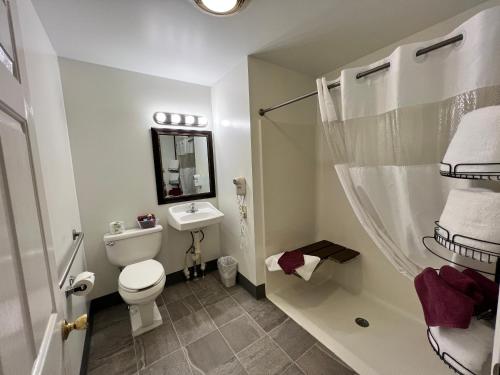 盖茨堡Inn at Cemetery Hill的浴室配有卫生间、盥洗盆和淋浴。
