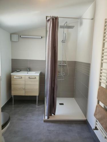 雷泽La Maison du Main Coon的带淋浴、卫生间和盥洗盆的浴室