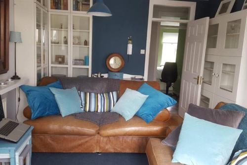 戈尔韦Galway City Lovely 2 Bed Apartment的客厅配有带蓝色枕头的棕色沙发