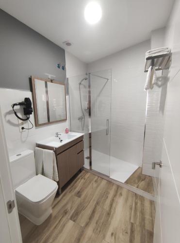 梅里达Apartamentos Harmonia的带淋浴、卫生间和盥洗盆的浴室