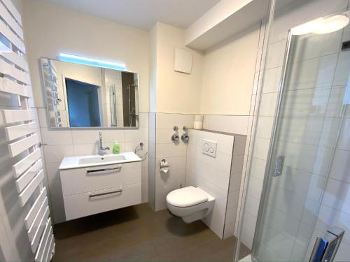 布劳恩拉格哈森科普夫海勒公寓的浴室配有卫生间、盥洗盆和淋浴。