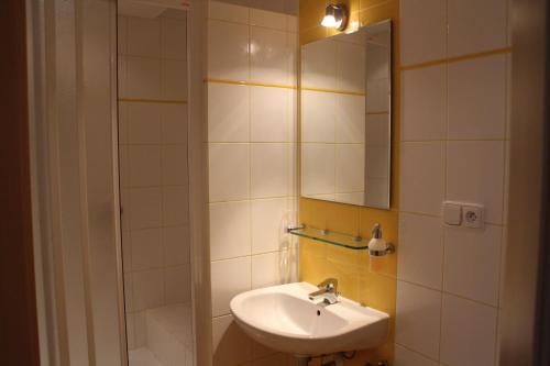 KdyněPension Janka Kdyně的一间带水槽和镜子的浴室