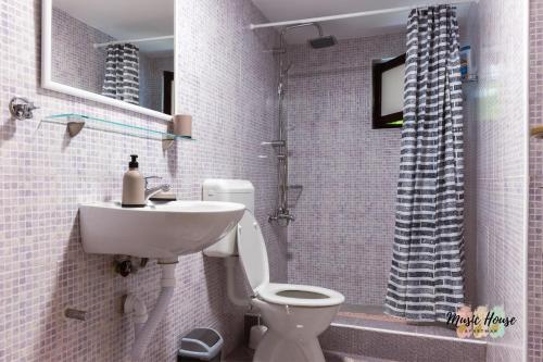 图兹拉Music House Apartment的一间带水槽、卫生间和淋浴的浴室