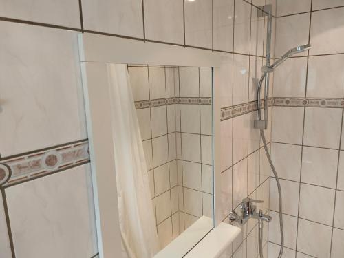 哈茨山区黑尔茨贝格AM BERG Hotel的带淋浴和浴帘的浴室