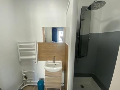 洛里昂Studio Confort Lorient Nouvelle Gare Hypercentre的一间带水槽和镜子的小浴室