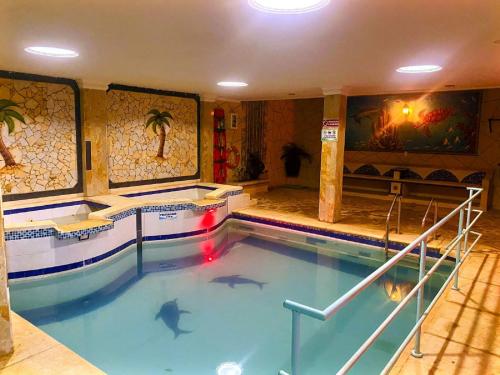塔甘加Hostel Green Light的室内游泳池内有鲨鱼