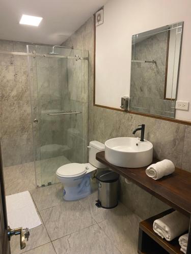阿亚姆佩Suite La Patera & El colibri的浴室配有卫生间、盥洗盆和淋浴。