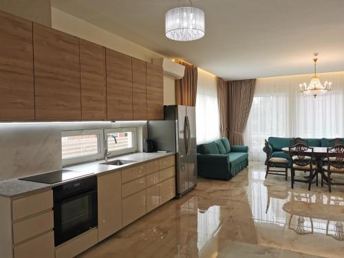 克莱佩达Beach Lounge Luxory Apartments的一间带木制橱柜的厨房和一间客厅