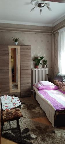 豪伊杜索博斯洛Vida vendégház的一间卧室配有两张床和镜子