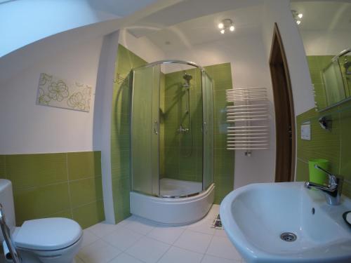 Nowa KiszewaSkowerówka的带淋浴、卫生间和盥洗盆的浴室