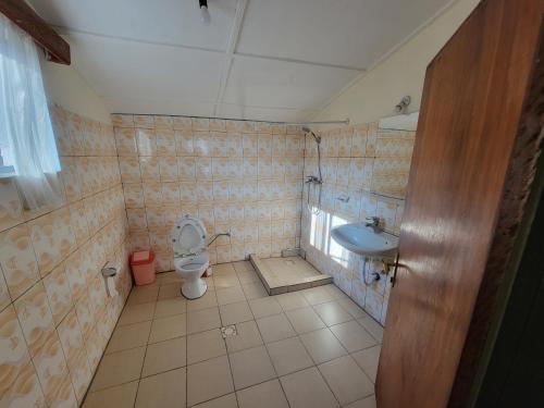 吉塞尼Maddy's Kitchen and Accomodation的一间带卫生间和水槽的浴室