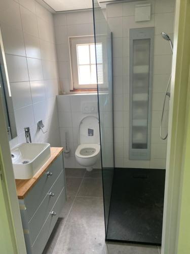 埃尔默洛Wellness chalet met sauna的带淋浴、卫生间和盥洗盆的浴室
