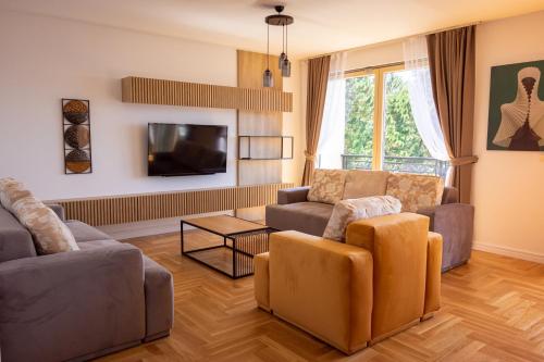 斯韦蒂·斯特凡Vertmont Villa的客厅配有两张沙发和一台电视机