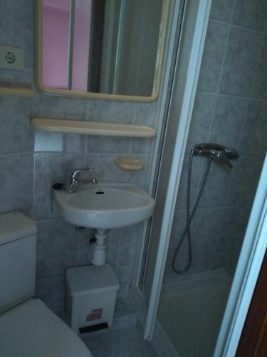 LadridoPension Bajamar的一间带水槽、淋浴和卫生间的浴室