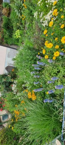 普罗勒布Apartments in der Nähe von Red Bull Ring的种有五颜六色花卉和植物的花园