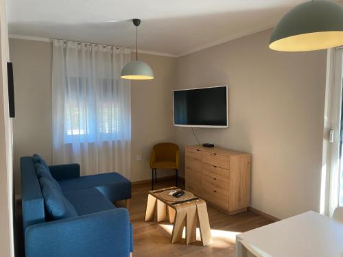 皮内兹齐M Plus Residence的客厅配有蓝色的沙发和电视