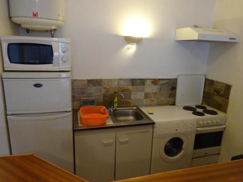 帕皮提费尔埃瑞尔斯威特一室公寓的一间带水槽和微波炉的小厨房
