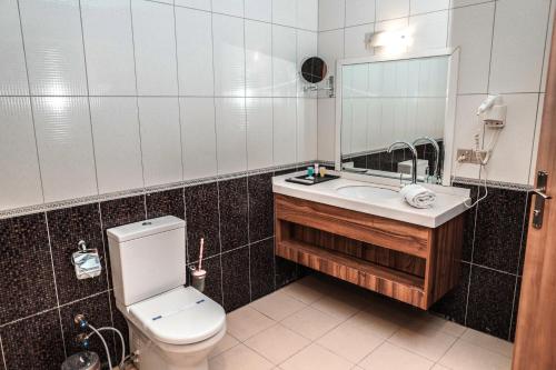 埃尔比勒Sipan Hotel的一间带卫生间、水槽和镜子的浴室