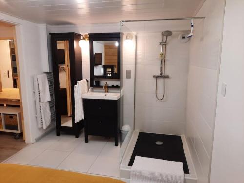 ZimmerbachCharmant logement avec terrasse et billard的带淋浴、盥洗盆和镜子的浴室