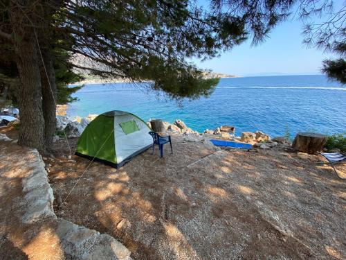 希马拉Pine Side Camp的水边的绿色白色帐篷
