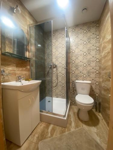 维托韦Góralskie Pokoje的浴室配有卫生间、淋浴和盥洗盆。
