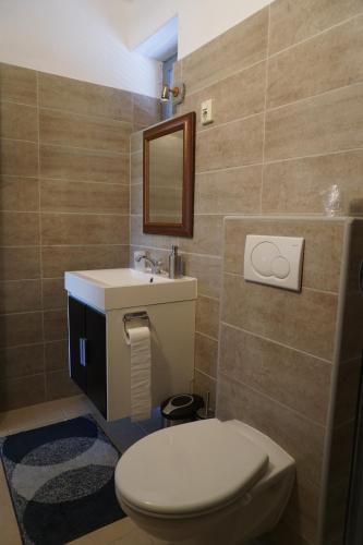 伊高尔Holidays Hongarije的一间带卫生间和水槽的浴室