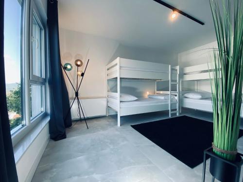 Donji ProložacVilla Magic look的一间卧室设有两张双层床和一扇窗户。